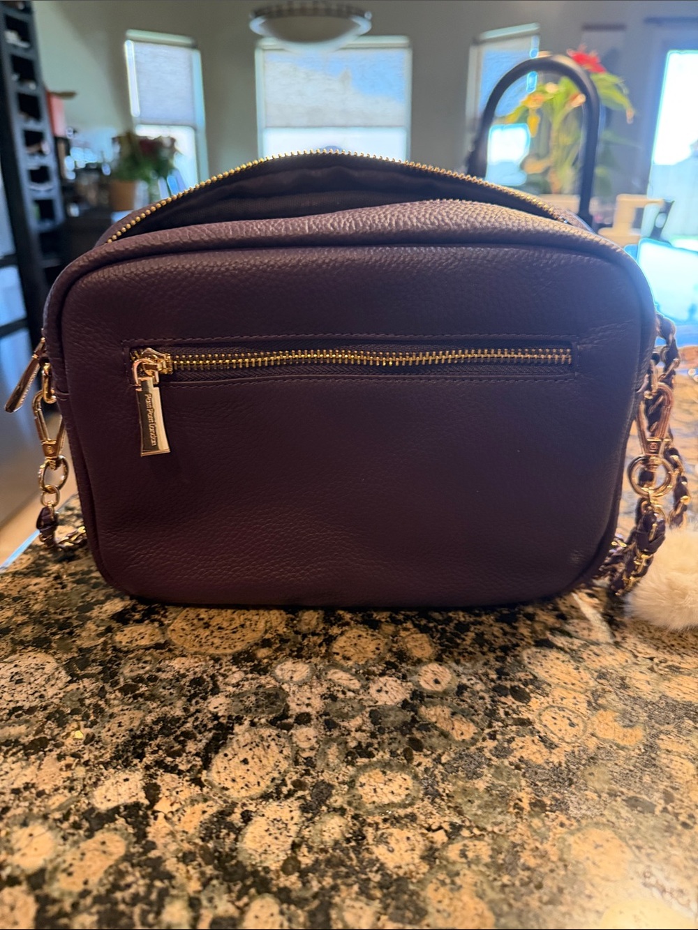 Pebbled Leather Crossbody in Plum with Gold- 4 interchangeable straps included